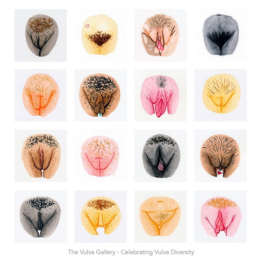 forma de vulva influencia no orgasmo